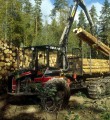 Древесина по новому закону: от учёта на лесосеке до декларирования в интернете Древесина по новому закону: от учёта на лесосеке до декларирования в интернете