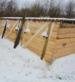 Где пчелкам   зимовать лучше?