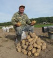 Куда сдать излишки картофеля? Этот вопрос все еще актуален Куда сдать излишки картофеля? Этот вопрос все еще актуален
