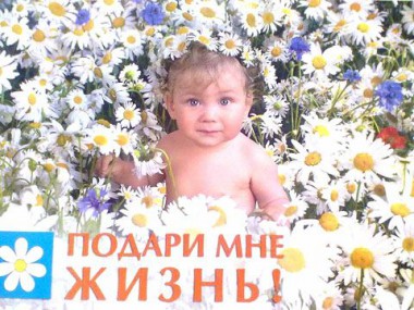 «Неделя тишины» – время на обдумывание решения «Неделя тишины» – время на обдумывание решения