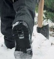 Рубите елочку на законных основаниях Рубите елочку на законных основаниях