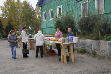 Садовые и огородные   достижения налицо