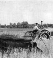 Самое яркое воспоминание о селе – голубое поле льна… Самое яркое воспоминание о селе – голубое поле льна…