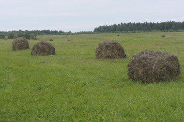 Сенокос близится   к завершению