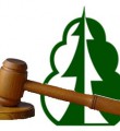 Состоялись первые аукционы по новым правилам Состоялись первые аукционы по новым правилам