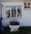 Старания оказались   не напрасными