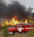 В лесах Поморья – особый противопожарный режим В лесах Поморья – особый противопожарный режим